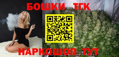 индика Первоуральск